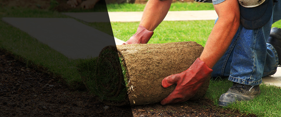 Kentwood Landscapers